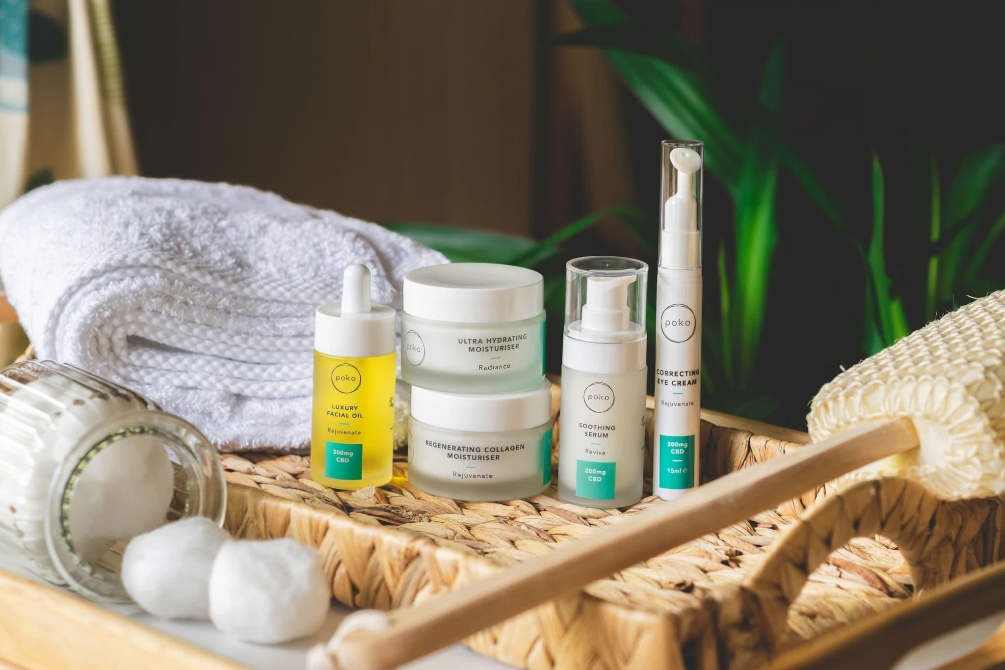 Personal Care Ingredients: EUDR Six-Month Warning Palm Chain Compliance