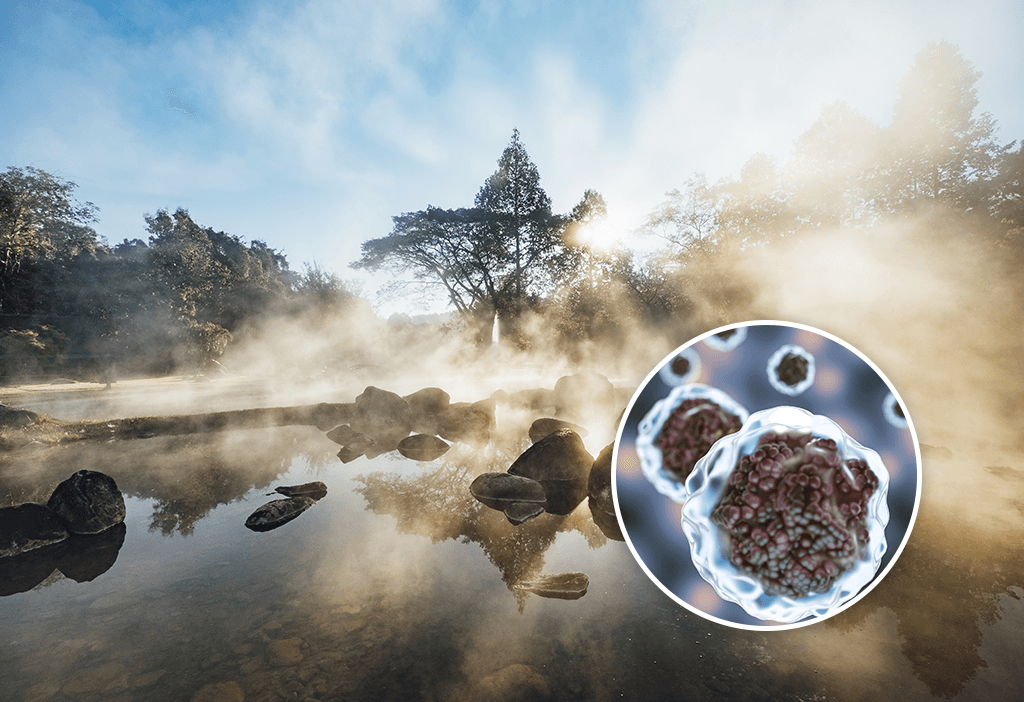 Research Uncovers Potential Origins of Life in Ancient Hot Springs