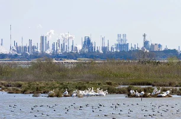 Specialty Solvents: Texas-Louisiana Post-Arthur Disruption