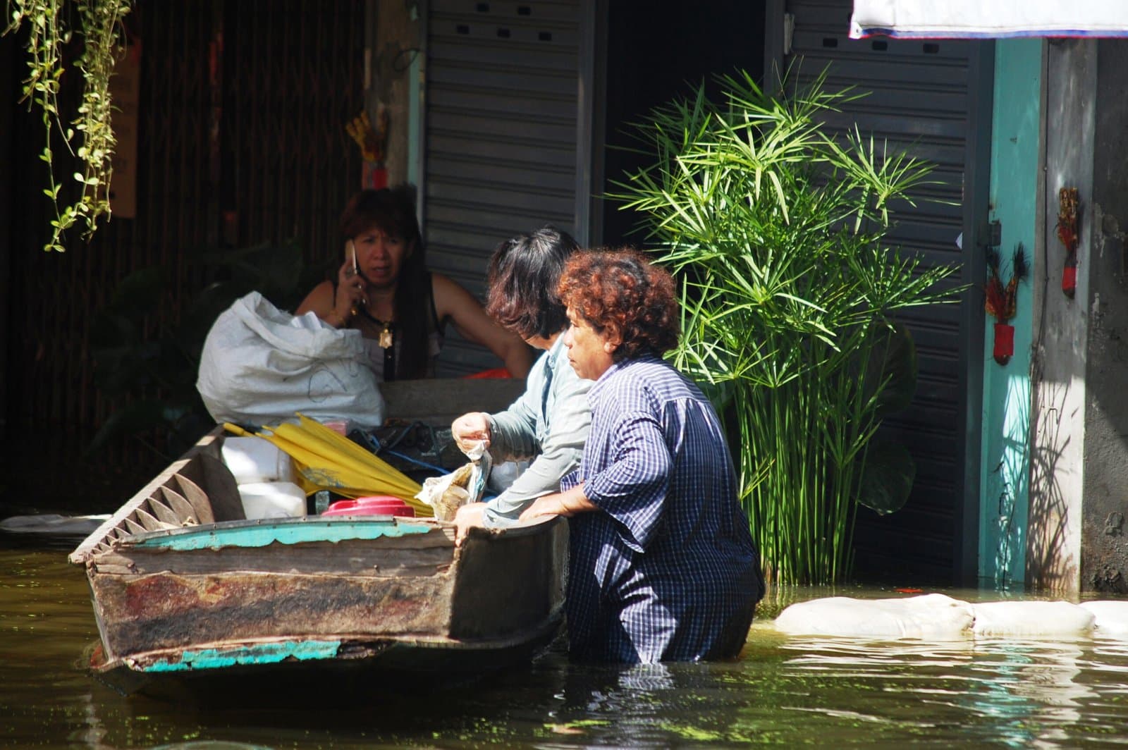 Agriculture in Crisis: The Aftermath of Chile's Heavy Rains