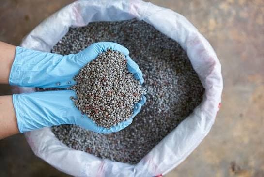 DAP and Phosphate: OCP Morocco Maintenance Creates Buying Window for Q3 Phosphate Procurement