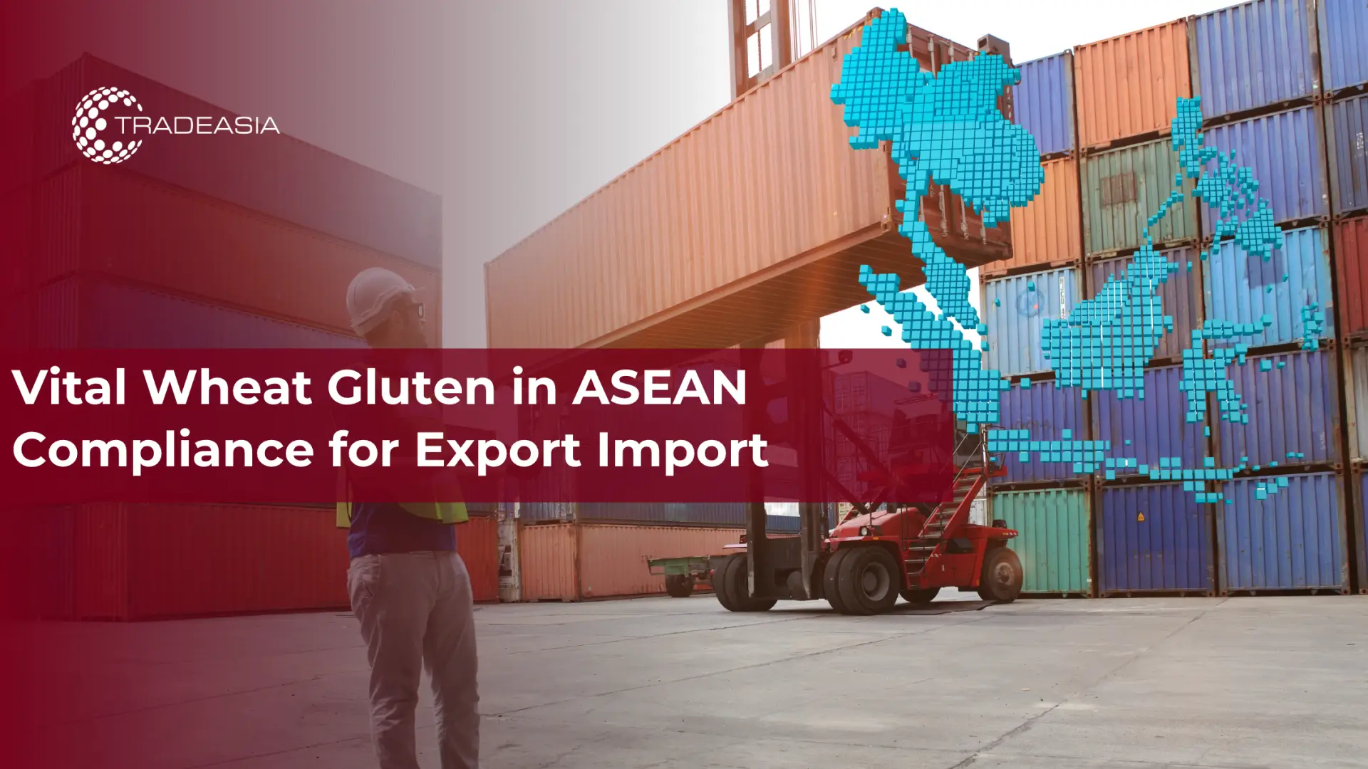 Mahalagang Gluten ng Trigo sa Pagsunod sa ASEAN para sa Import ng Export
