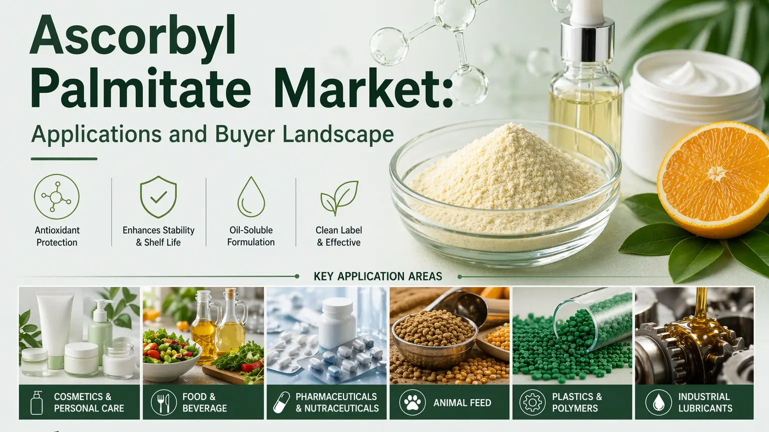 Ascorbyl Palmitate Market: Mga Aplikasyon at Tanawin ng Mamimili