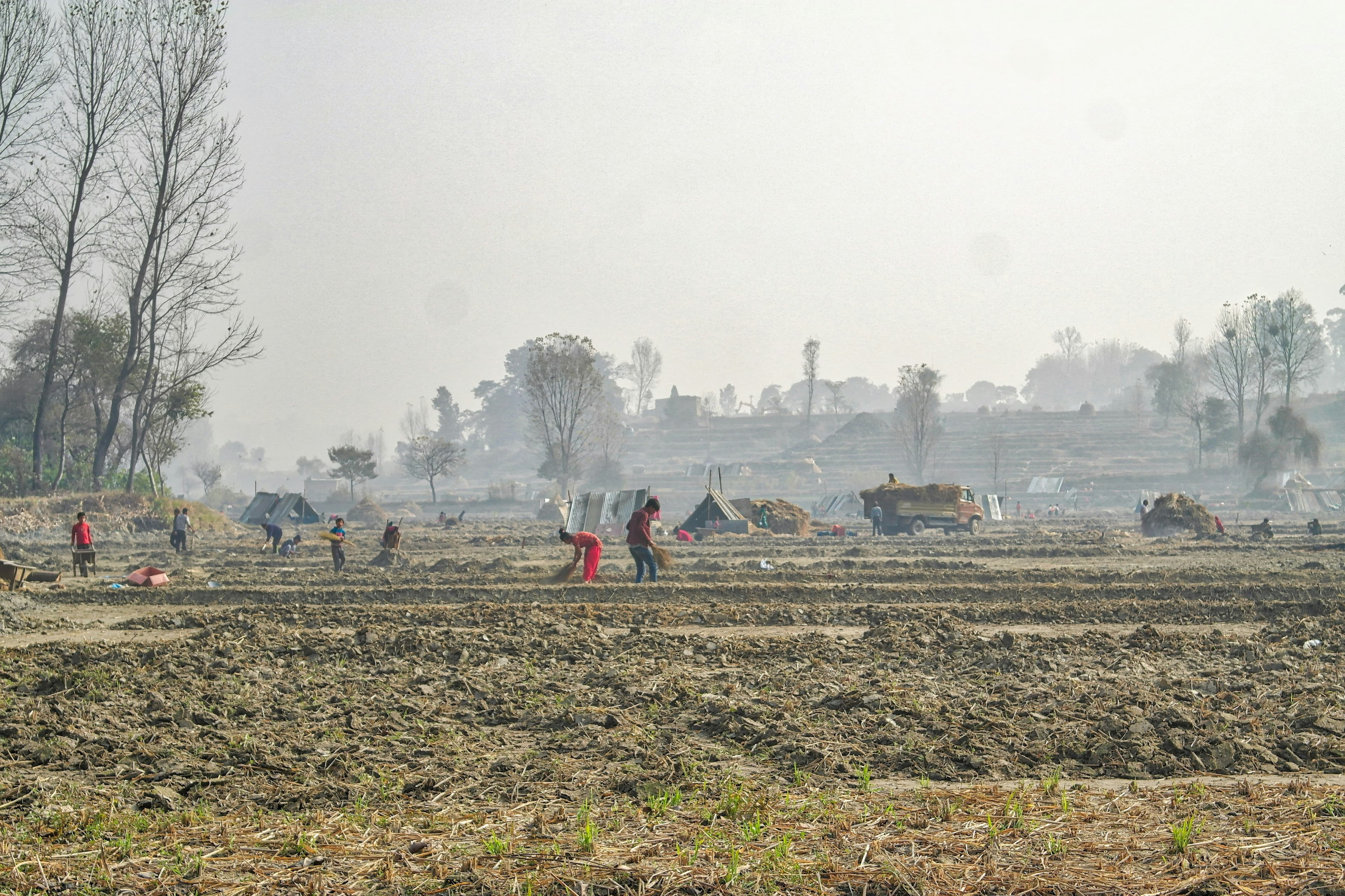 Green Ammonia After the Ceasefire Collapse: Gulf Project Timelines Pushed Further
