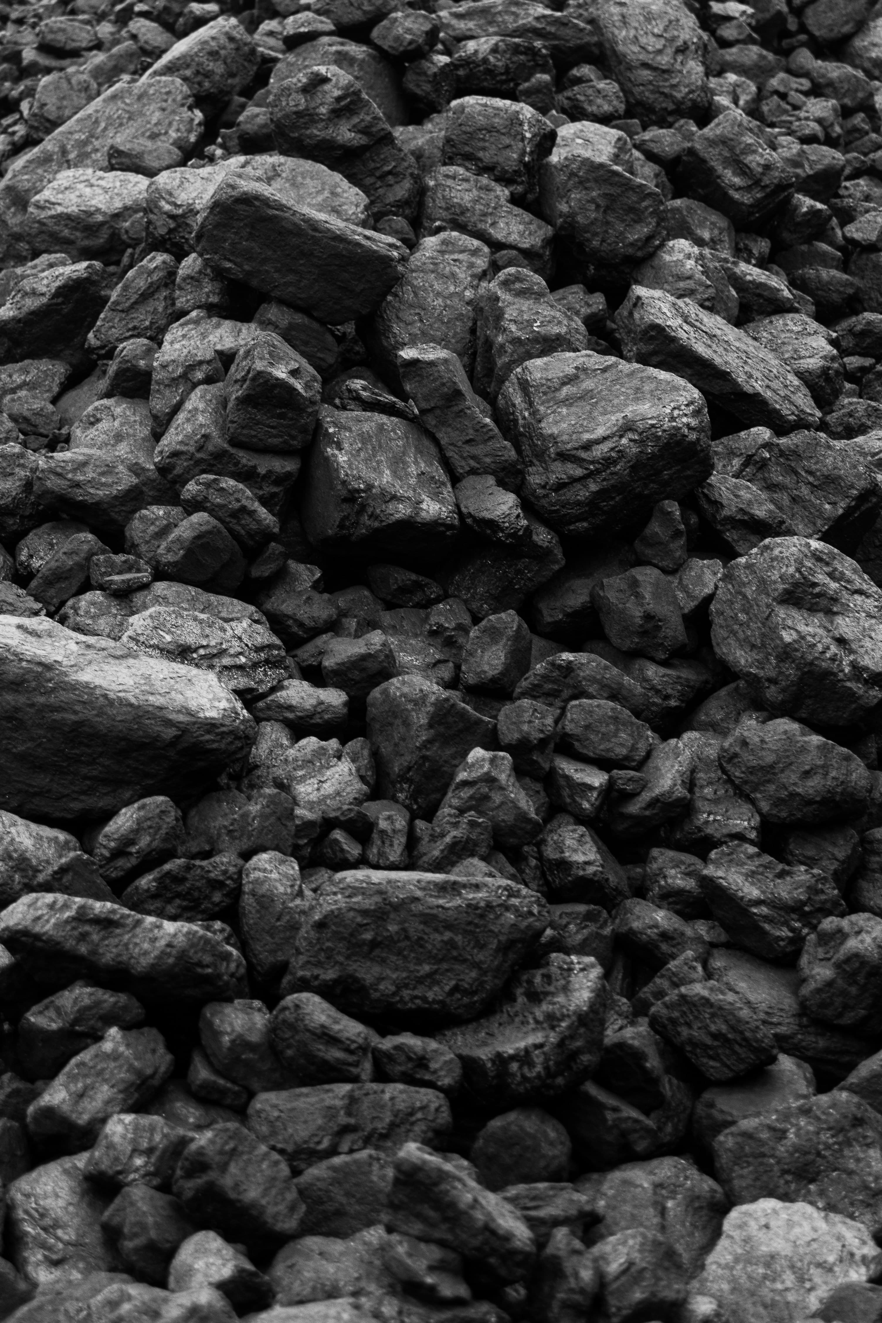 Methanol-to-Olefins and the Coal Chemistry Carbon Question