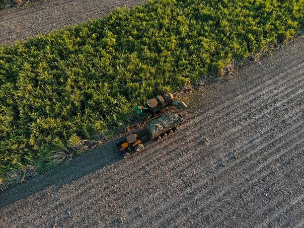 Brazil’s Sugarcane Biorefinery: A Model for Renewable Ethanol and Sustainable Feedstocks