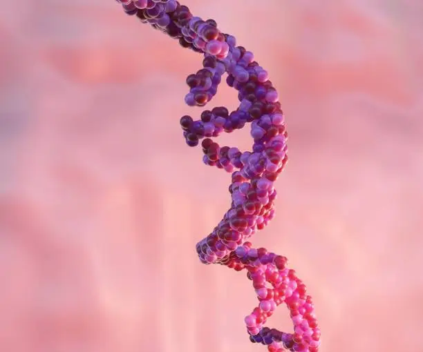 Ang mga Korean API Makikita sa RNA, ADC at Peptides upang Makatakas sa Mga Digmaan ng Presyo ng China-India
