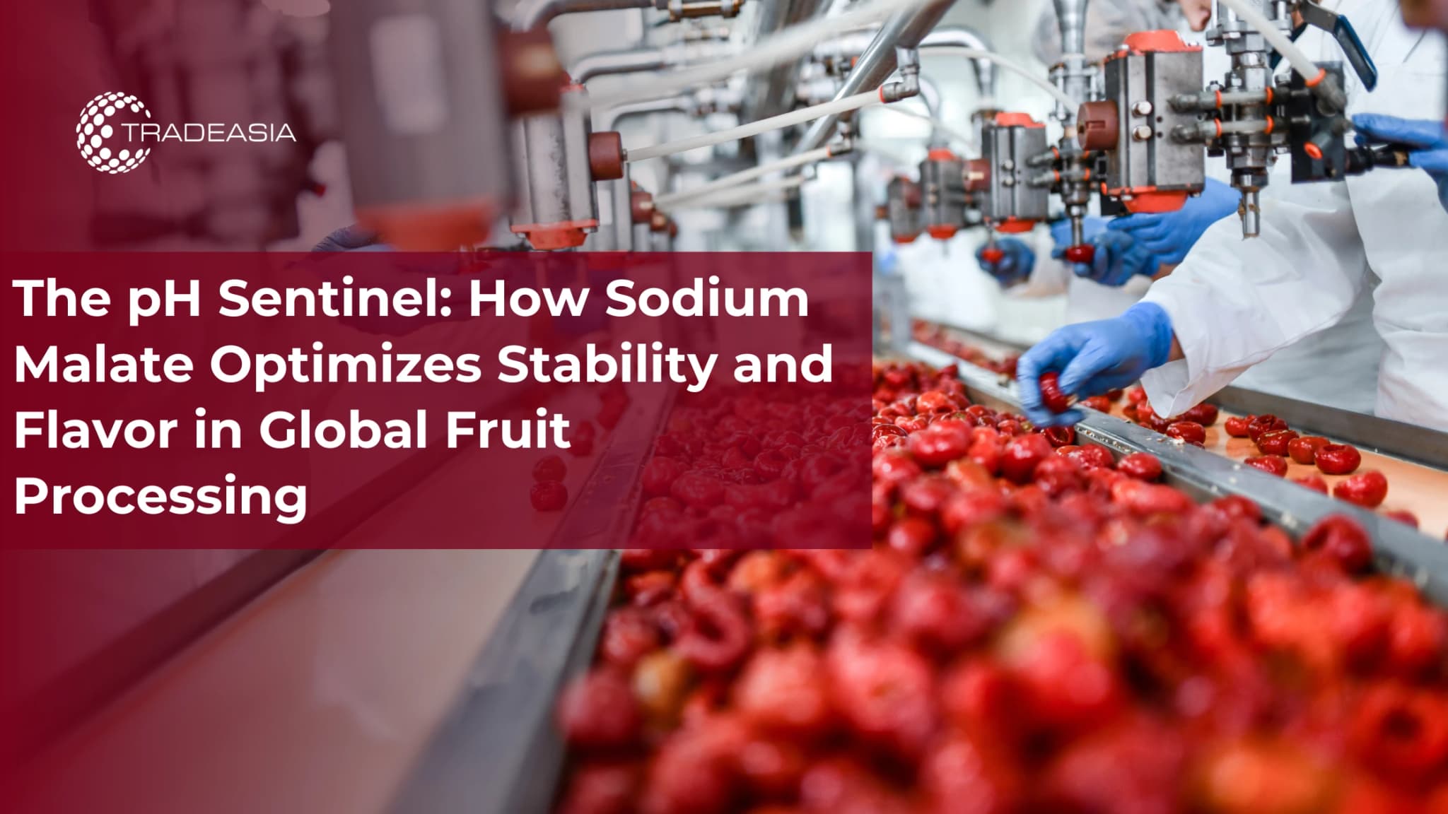 The pH Sentinel: How Sodium Malate Optimizes Stability and Flavor in Global Fruit Processing