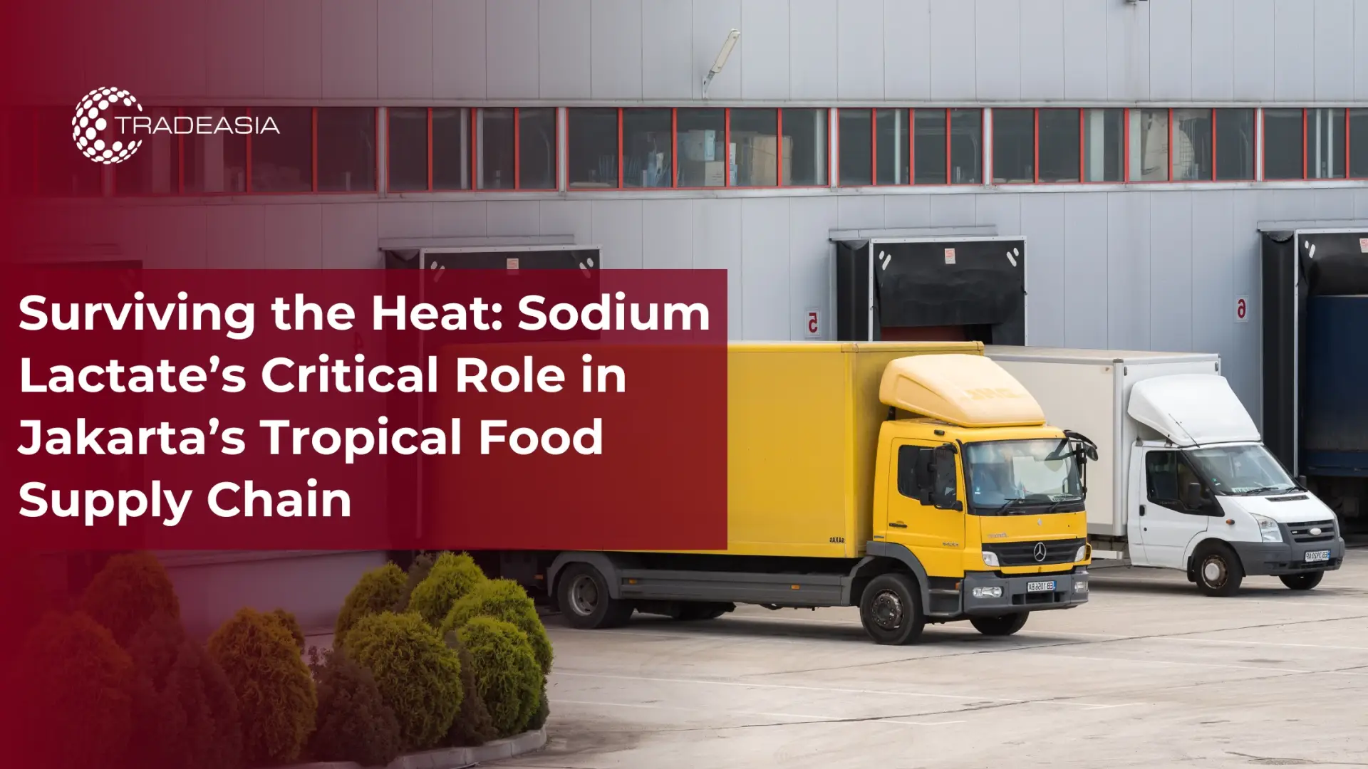 Surviving the Heat: Sodium Lactate’s Critical Role in Jakarta’s Tropical Food Supply Chain