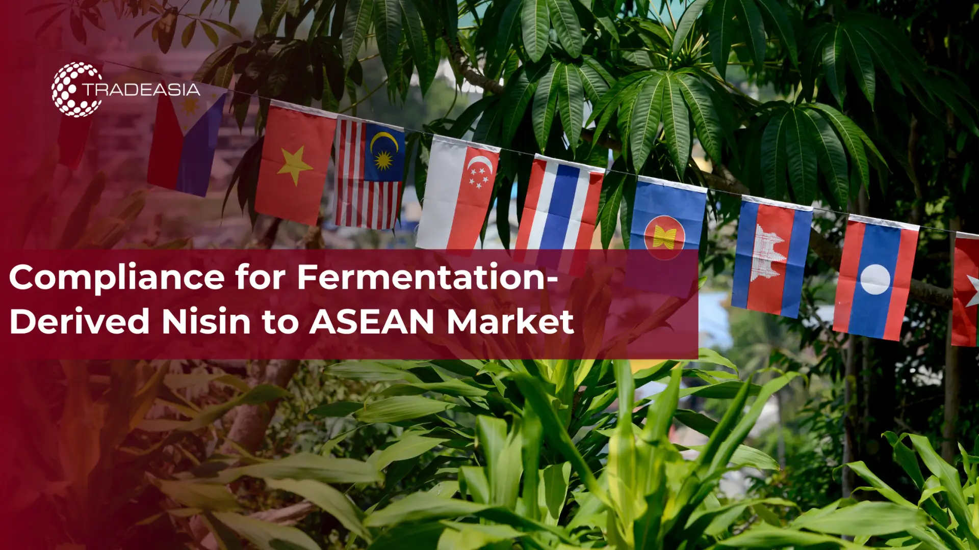Compliance for Fermentation-Derived Nisin to ASEAN Market