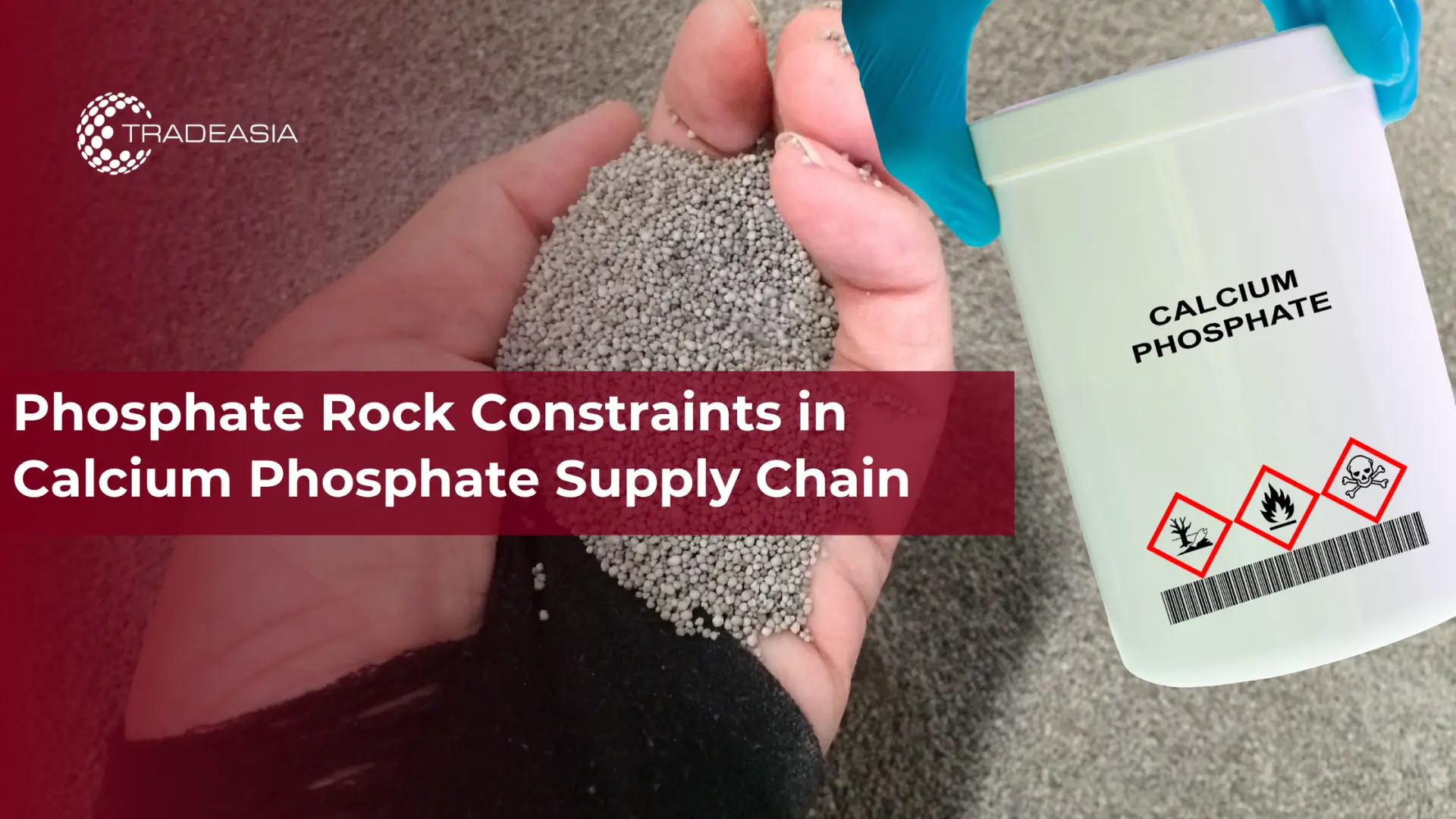 Phosphate Rock Constraints in Calcium Phosphate Supply Chain