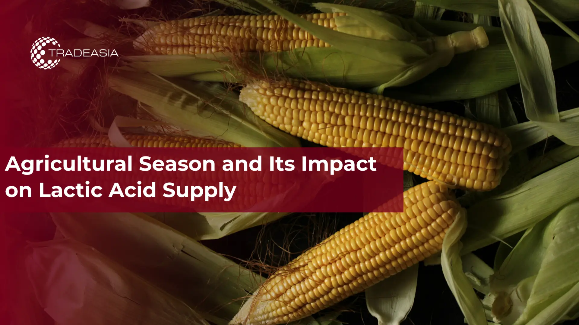 Agricultural Season and Its Impact on Lactic Acid Supply