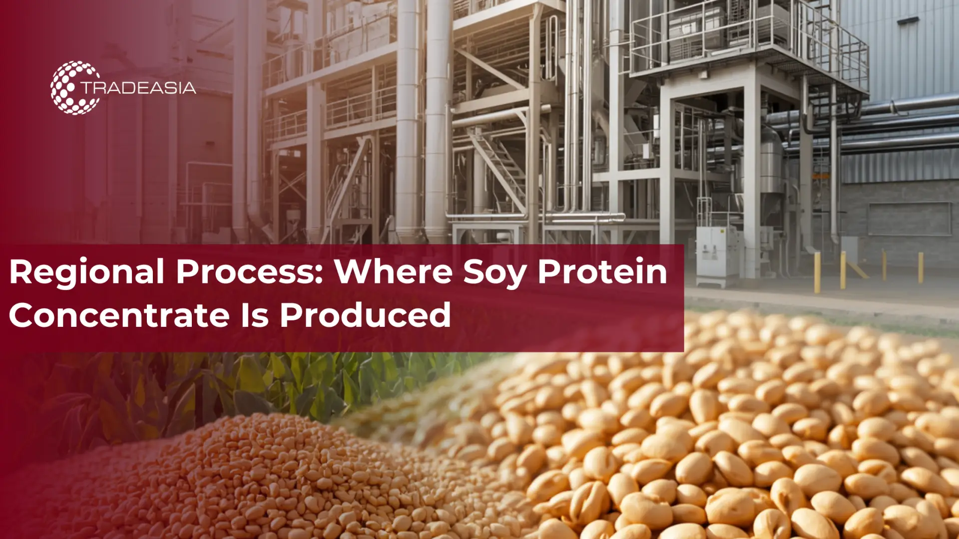 Regional Process: Where Soy Protein Concentrate Is Produced