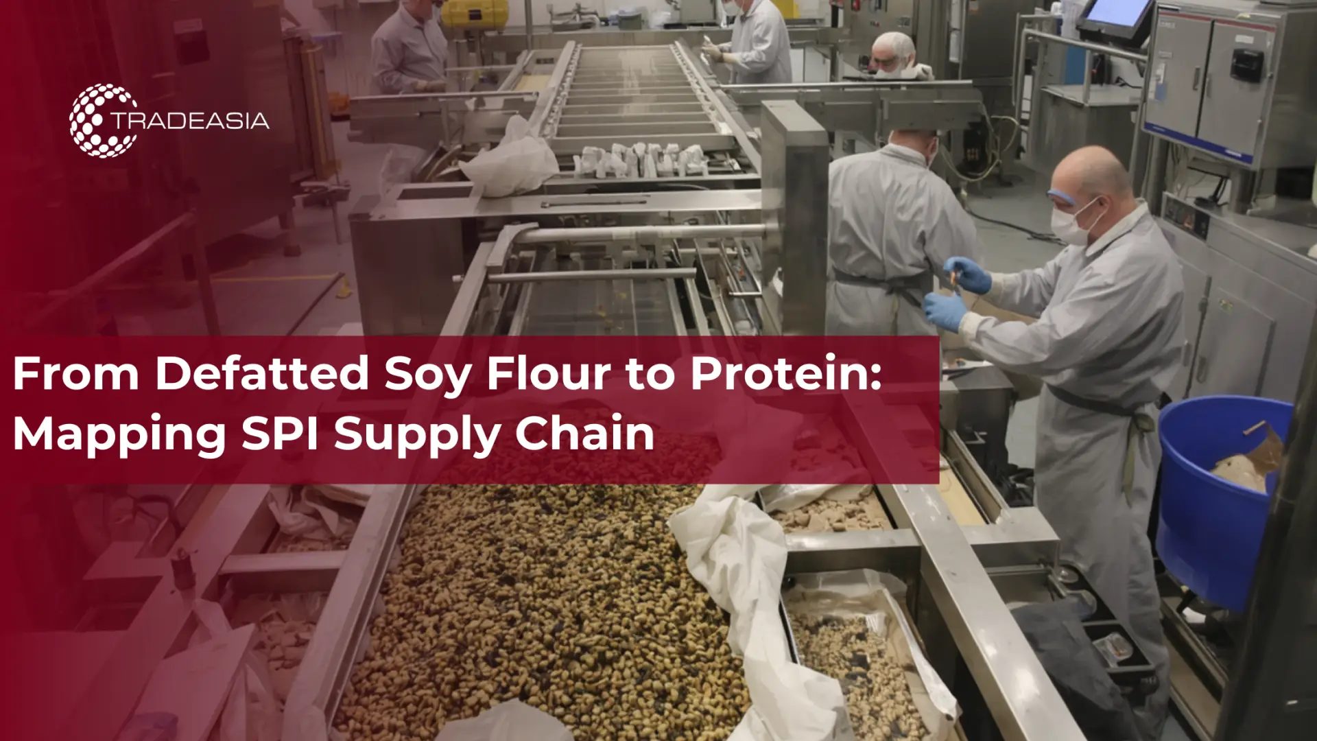 From Defatted Soy Flour to Protein: Mapping SPI Supply Chain