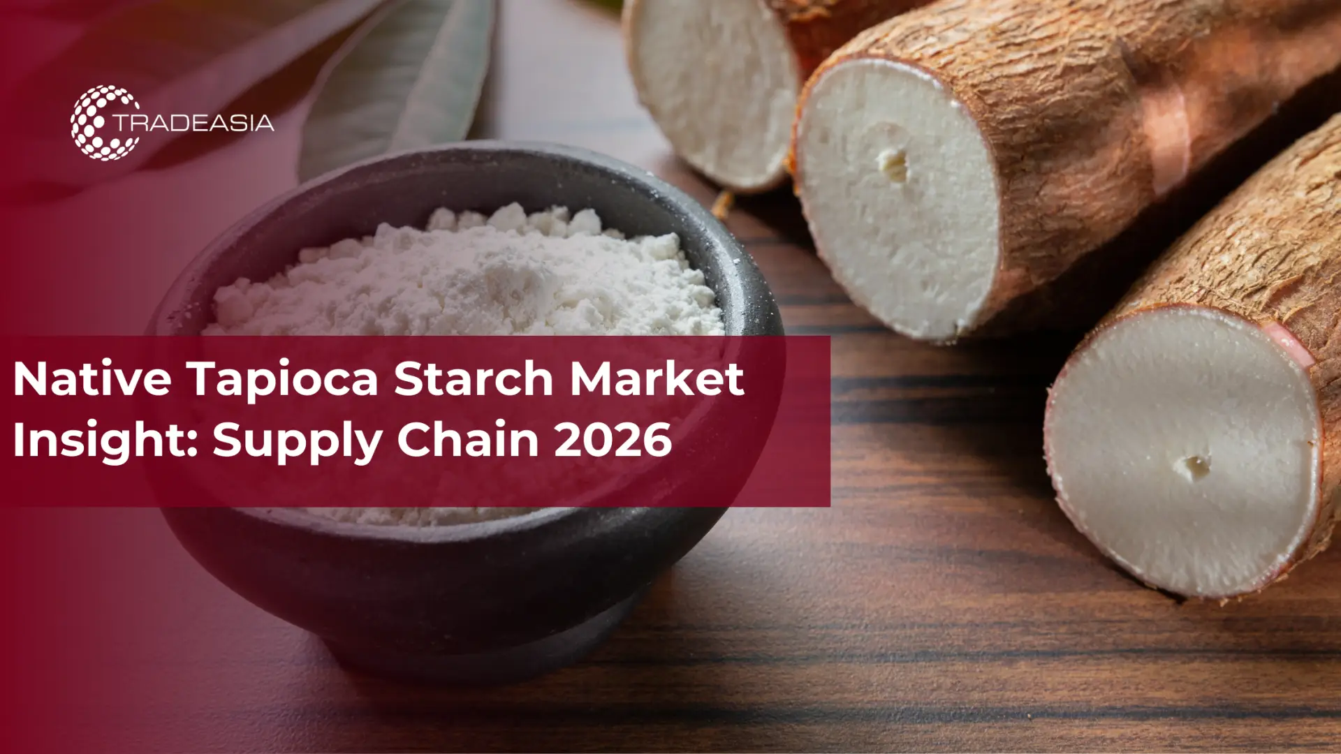Native Tapioca Starch Market Insight: Supply Chain 2026