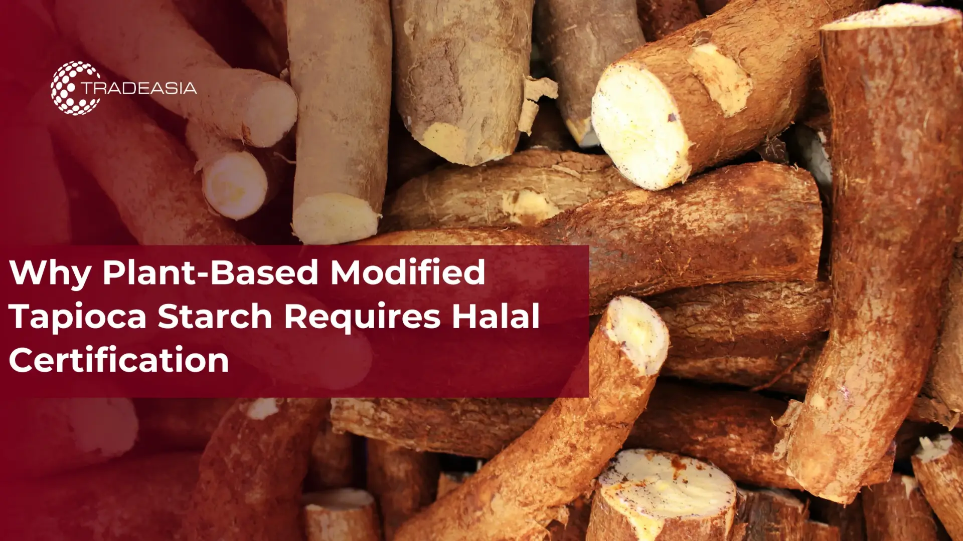 Why Plant-Based Modified Tapioca Starch Requires Halal Certification