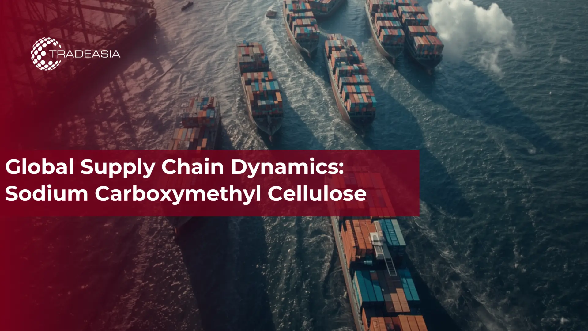 Global Supply Chain Dynamics: Sodium Carboxymethyl Cellulose