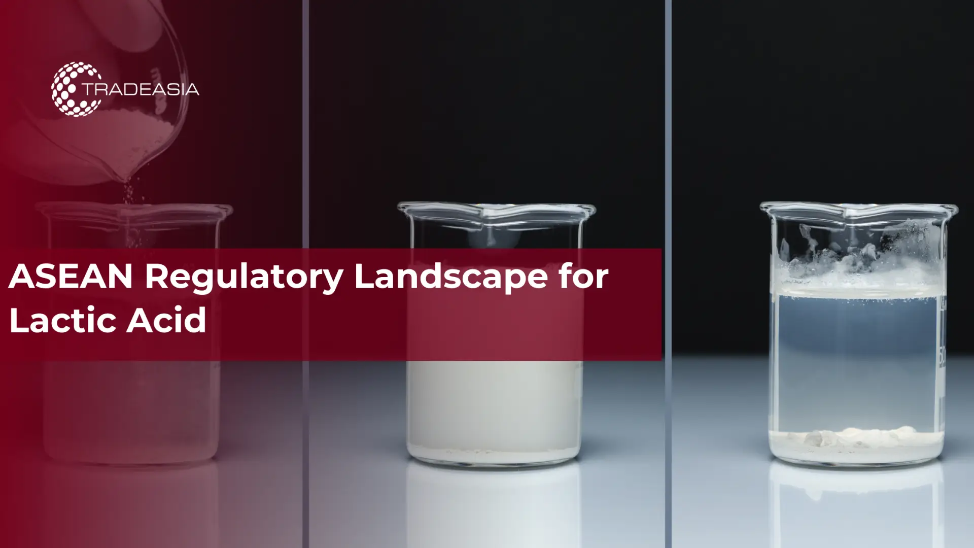 ASEAN Regulatory Landscape for Lactic Acid