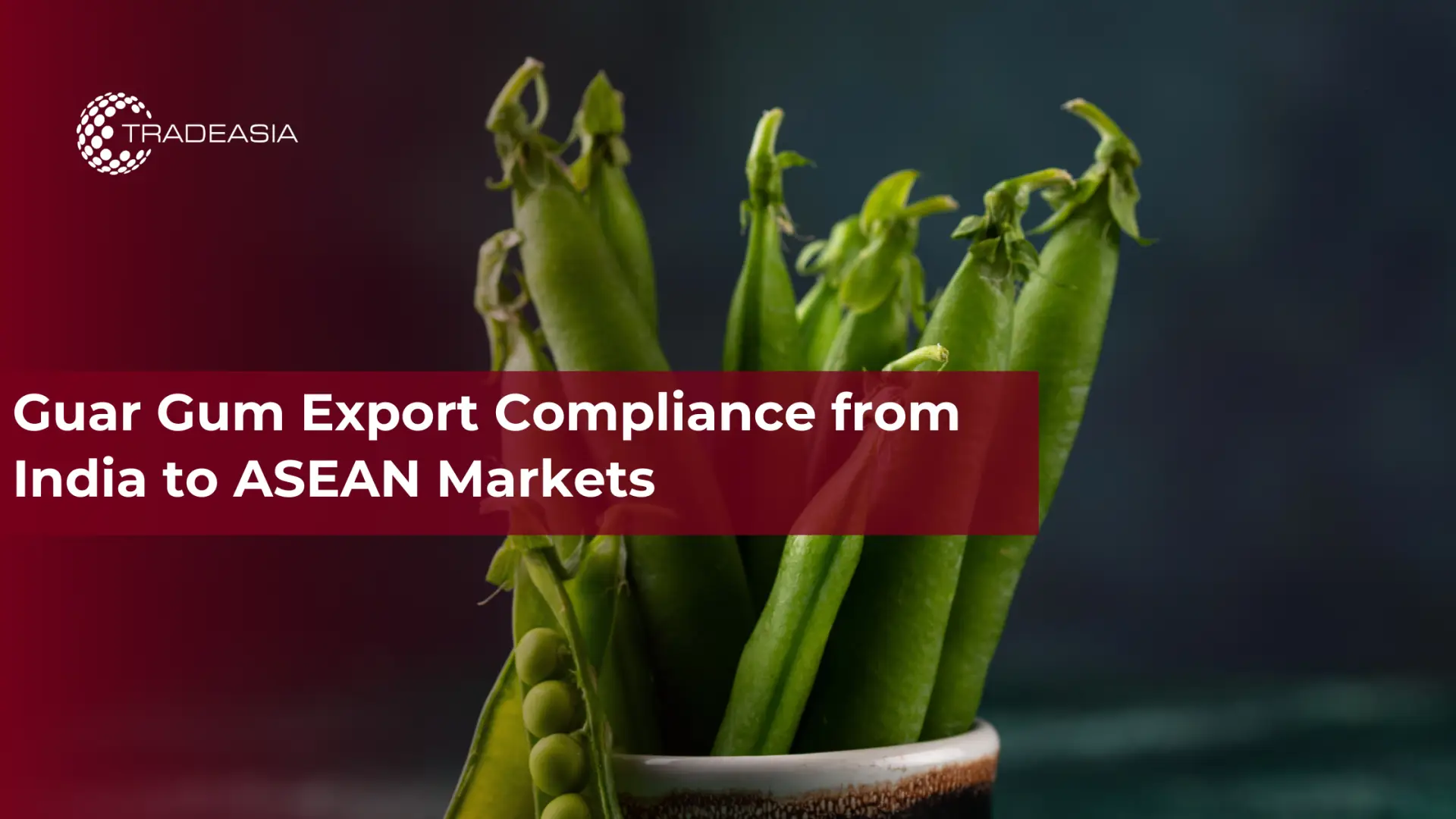Guar Gum Export Compliance from India to ASEAN Markets