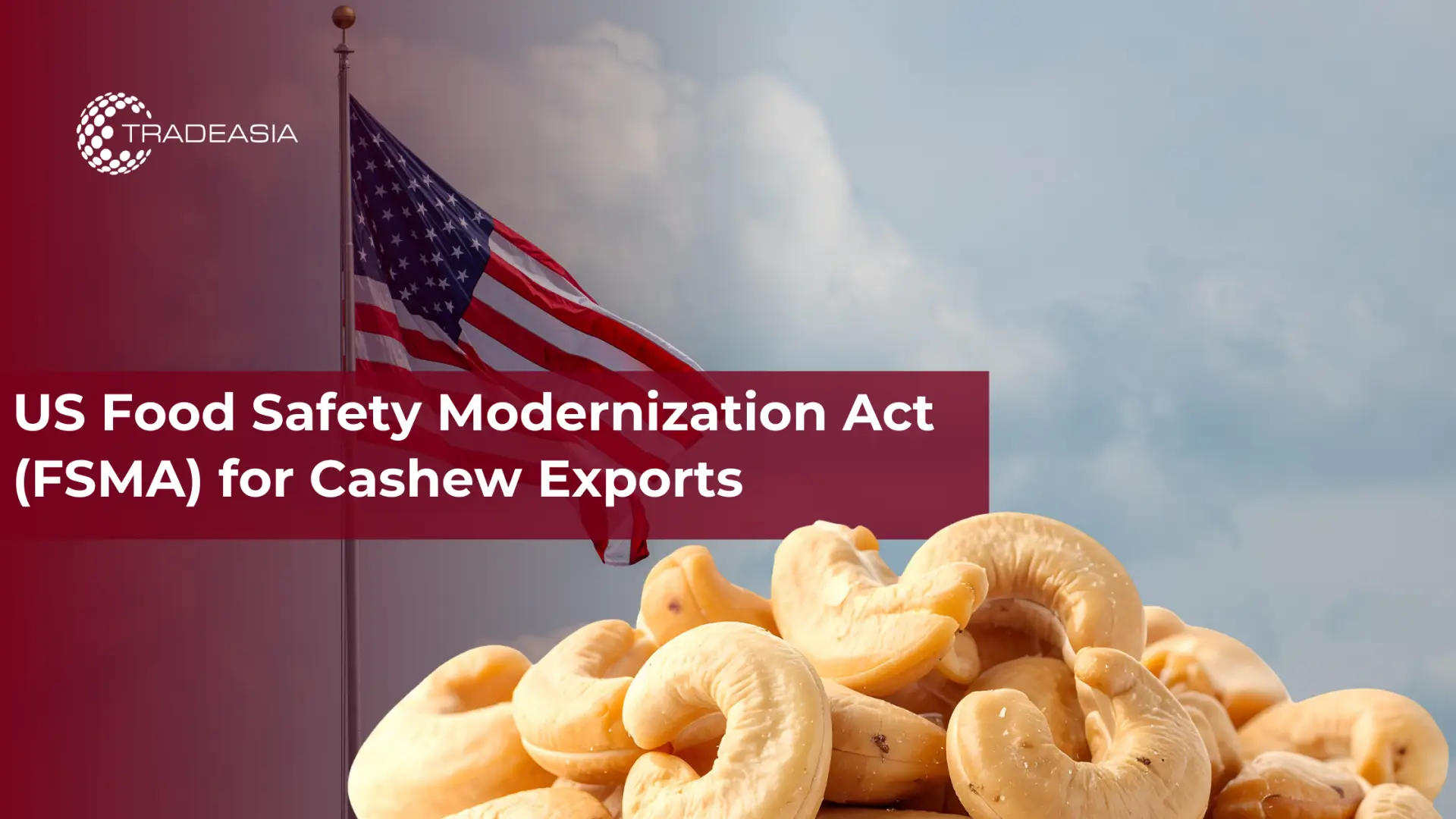 US Food Safety Modernization Act (FSMA) for Cashew Exports