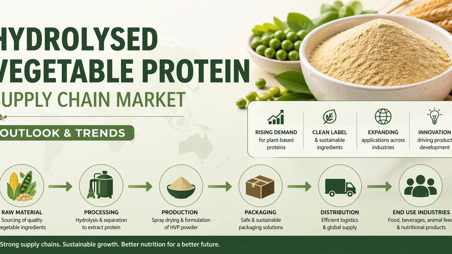 Hydrolysed Vegetable Protein Supply Chain Market Outlook Trends