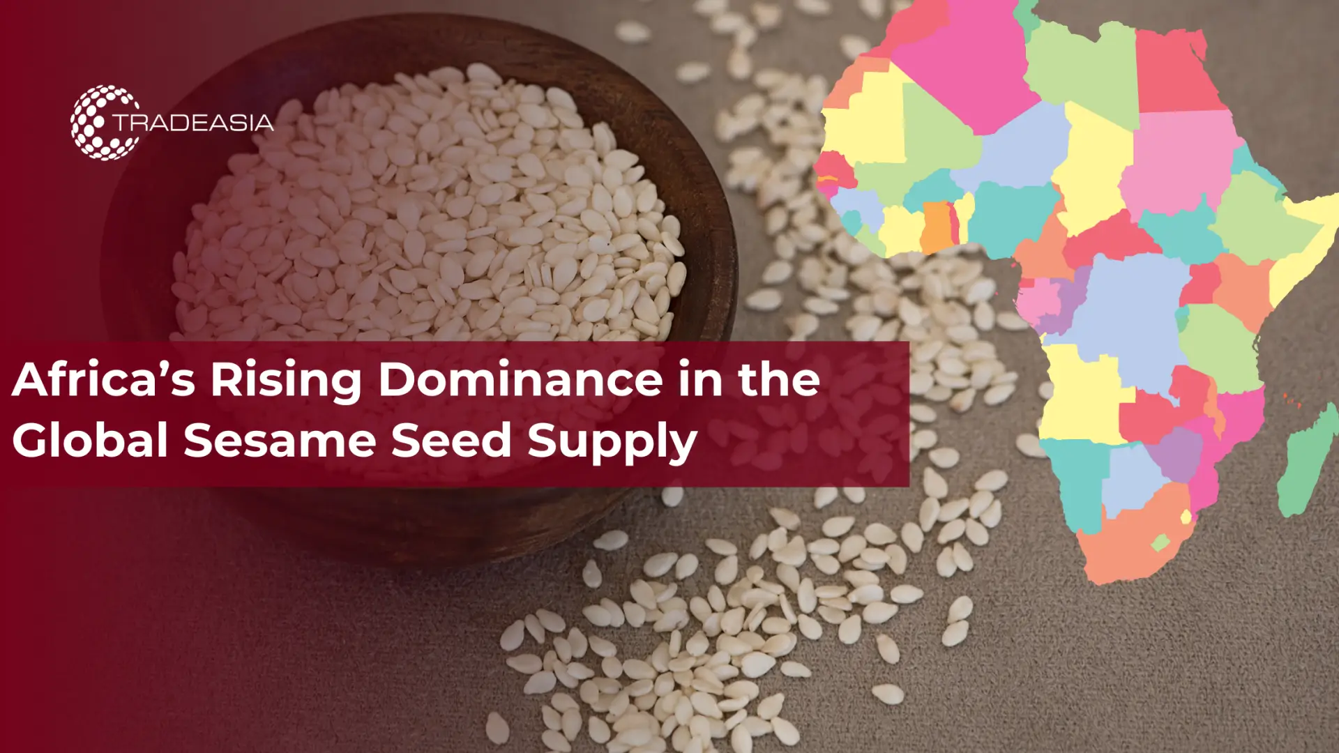 Africa’s Rising Dominance in the Global Sesame Seed Supply