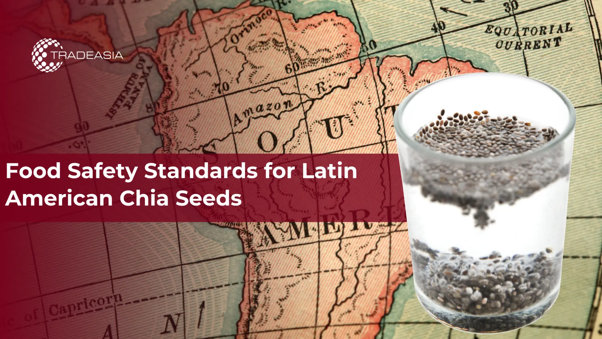 Food Safety Standards for Latin American Chia Seeds