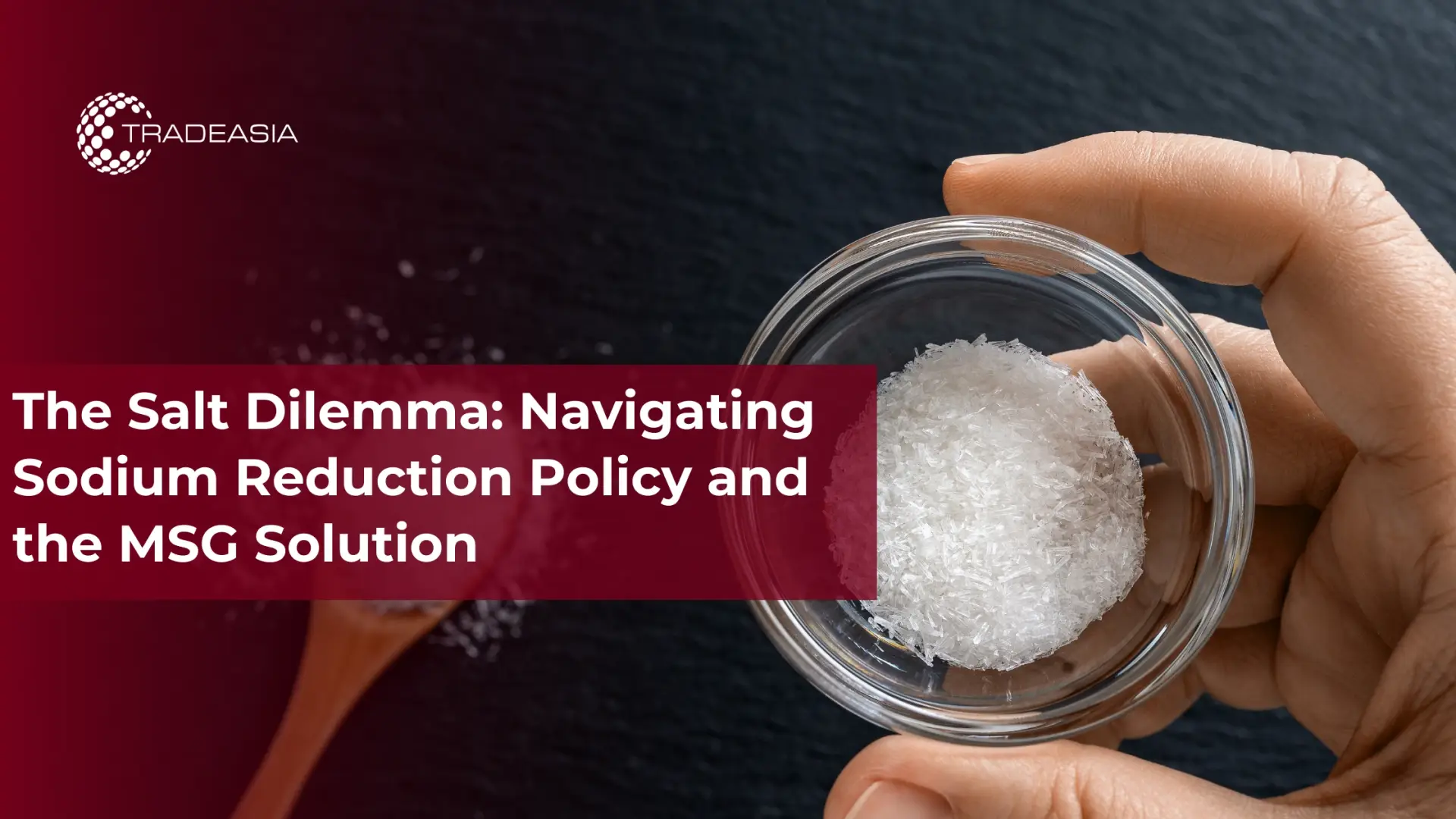 The Salt Dilemma: Navigating Sodium Reduction Policy and the MSG Solution
