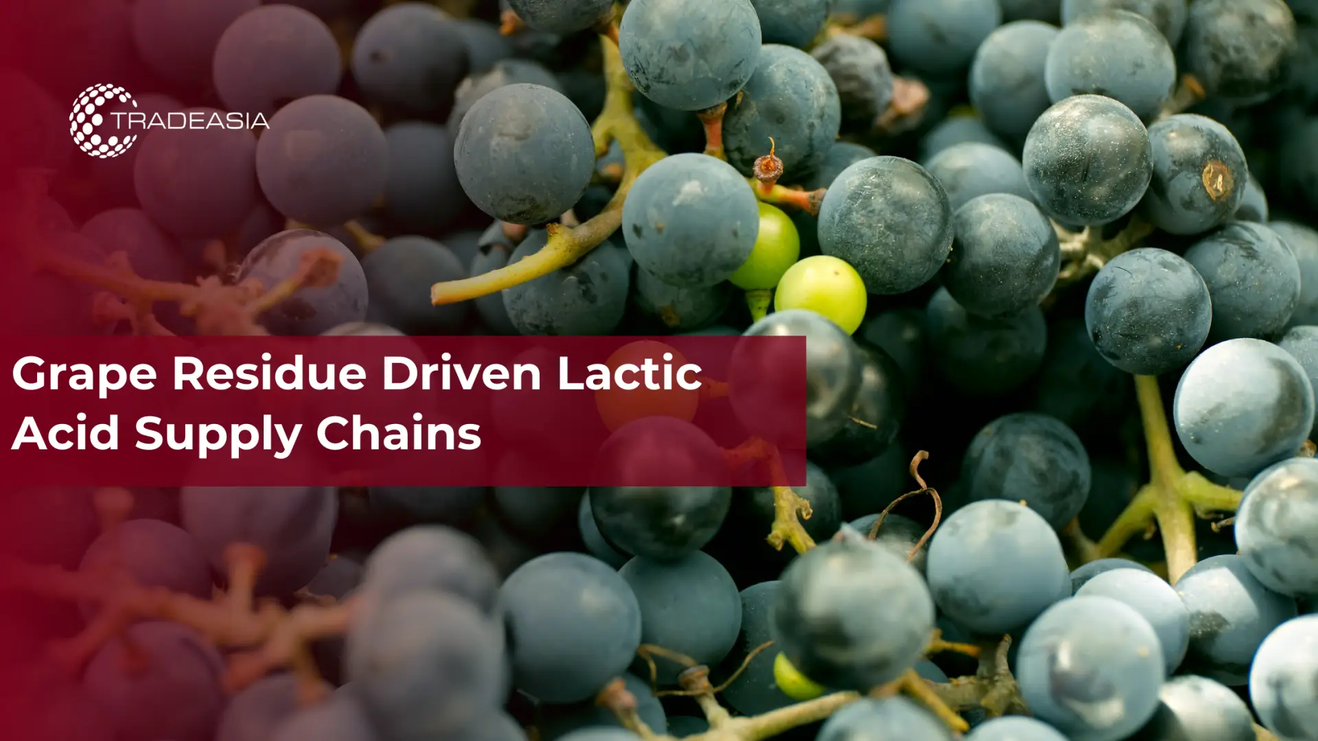 Grape Residue Driven Lactic Acid Supply Chains