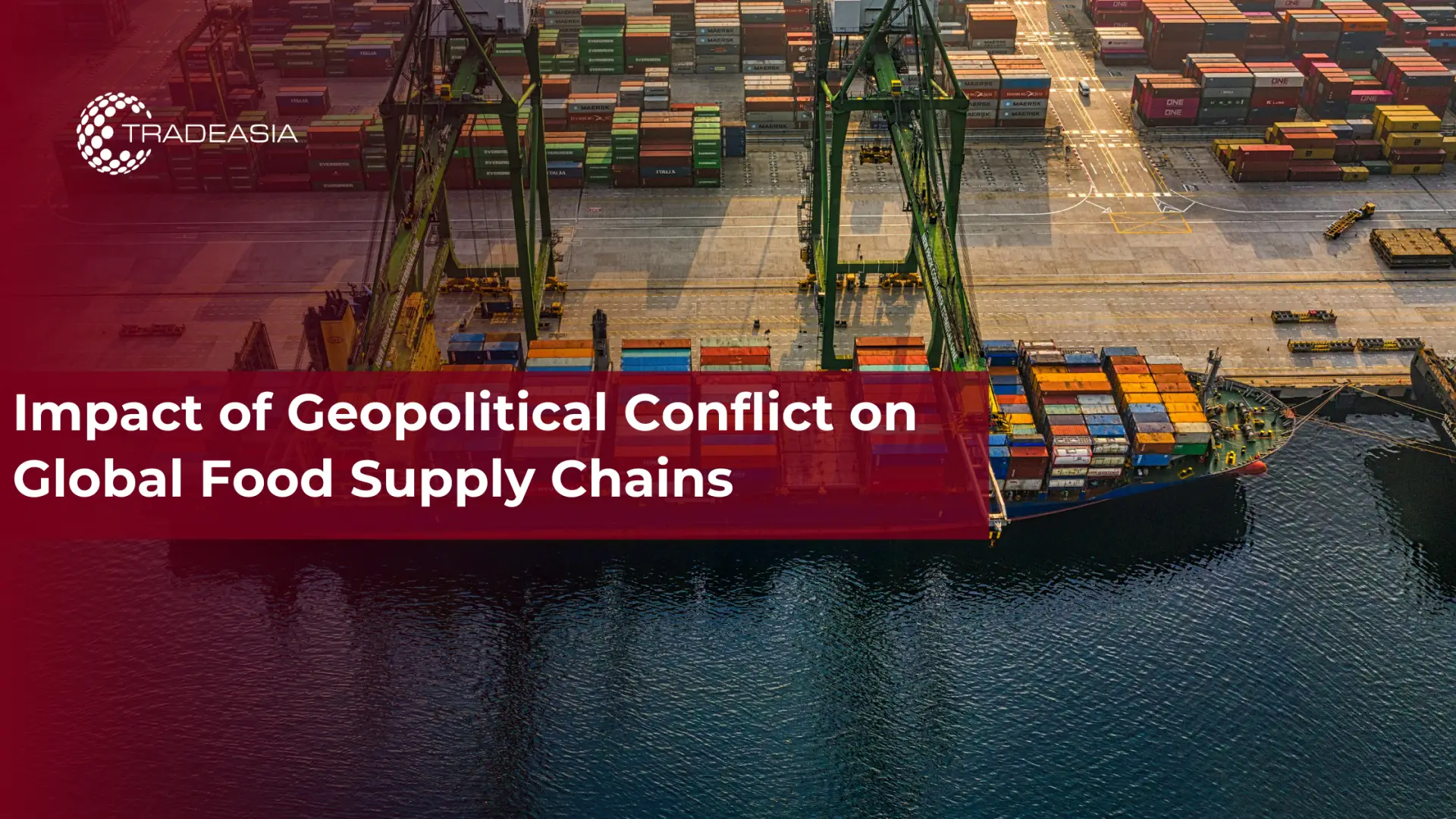 Impact of Geopolitical Conflict on Global Food Supply Chains