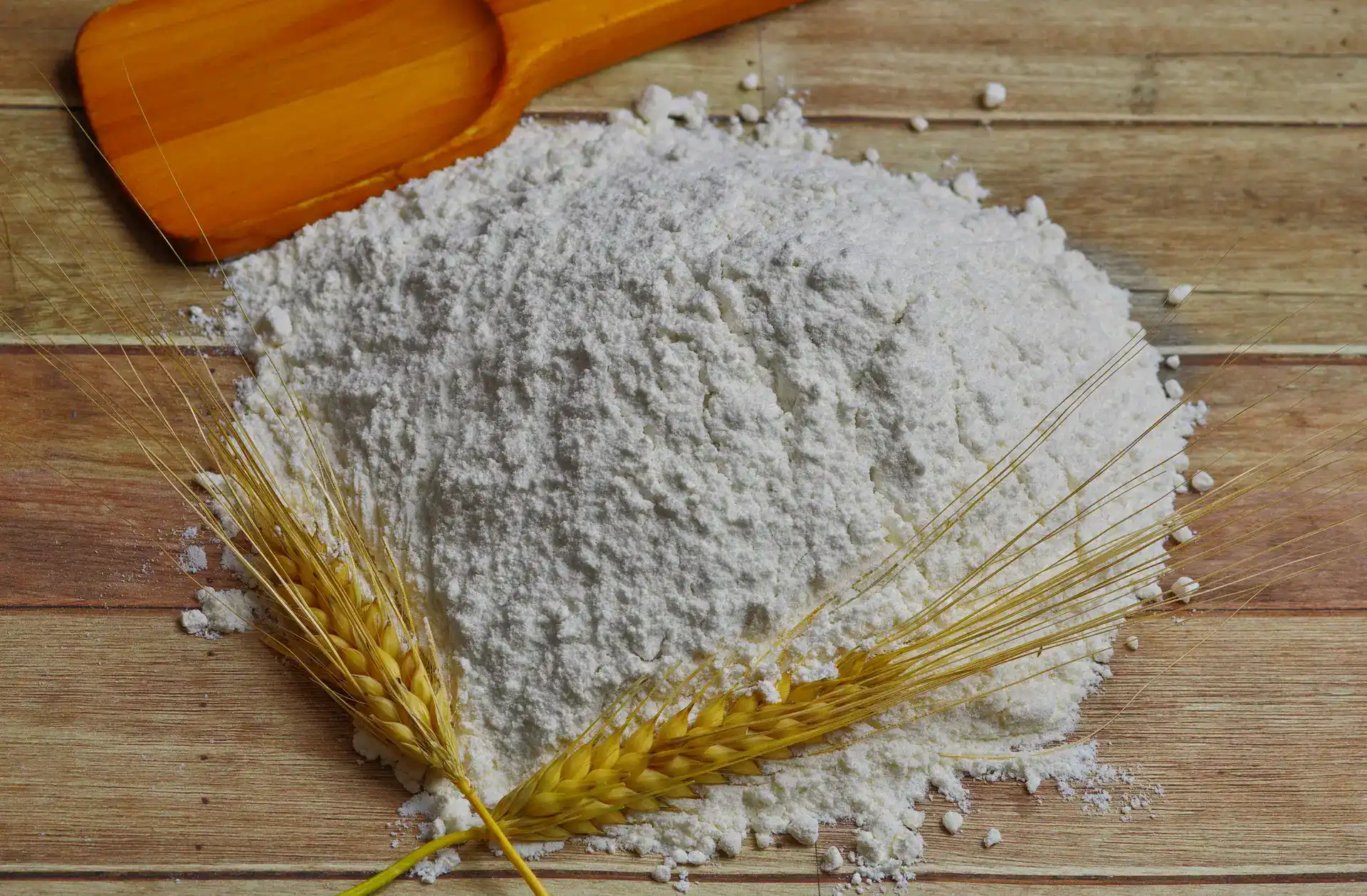 Corn Starch and Tapioca Starch: Southeast Asia Supply Update Amid Planting Season