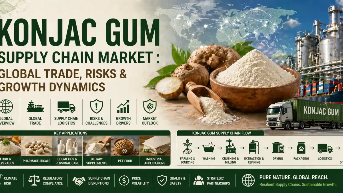 Merkado ng Konjac Gum Supply Chain: Pandaigdigang Kalakalan, Mga Panganib at Dynamics ng Paglago