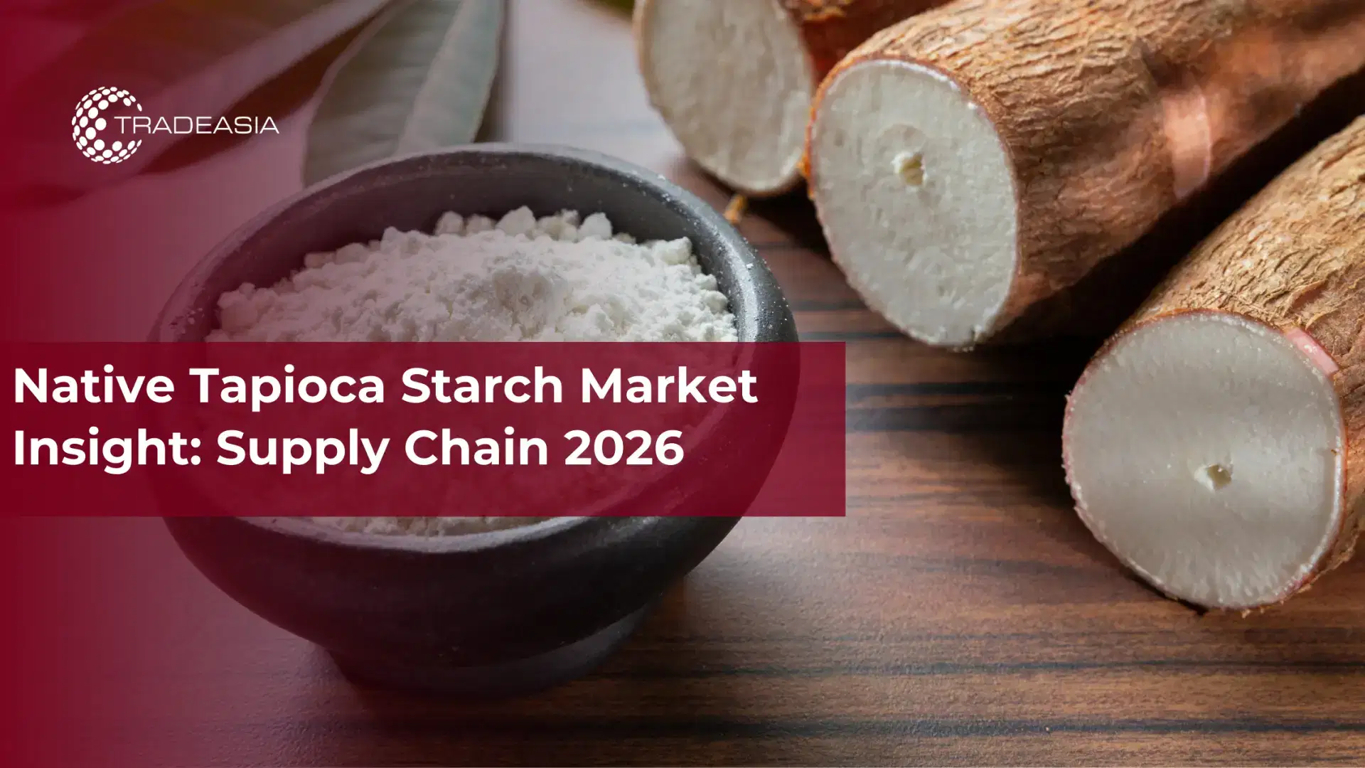 Native Tapioca Starch Market Insight: Supply Chain 2026
