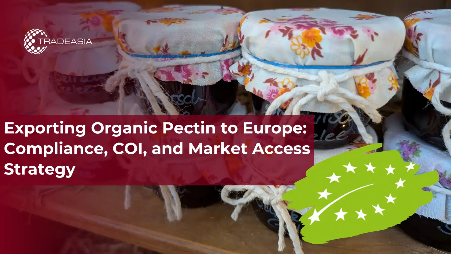Pag-export ng Organic Pectin sa Europa: Pagsunod, COI, at Diskarte sa Pag-access sa Merkado