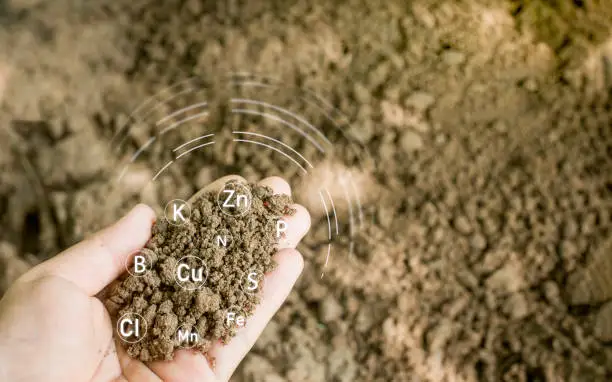 Bagong Patnubay sa PFAS ng EPA: Epekto sa Biosolids, Pataba, at Food Chain
