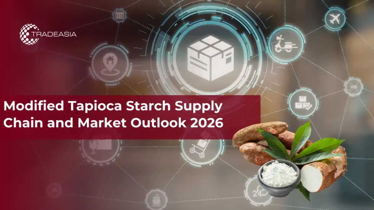 Modified Tapioca Starch Supply Chain and Market Outlook 2026