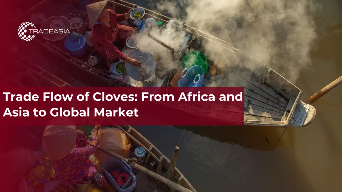 Daloy ng Kalakalan ng Clouds: Mula sa Africa at Asya hanggang sa Global Market